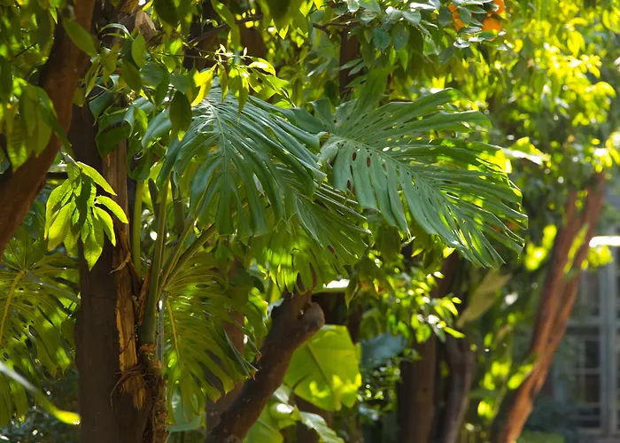 Hotel Les Jardins De La Médina Marrakesh